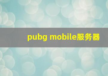 pubg mobile服务器